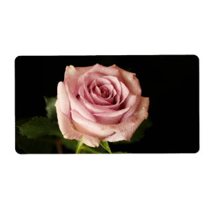 Étiquette belle rose rose