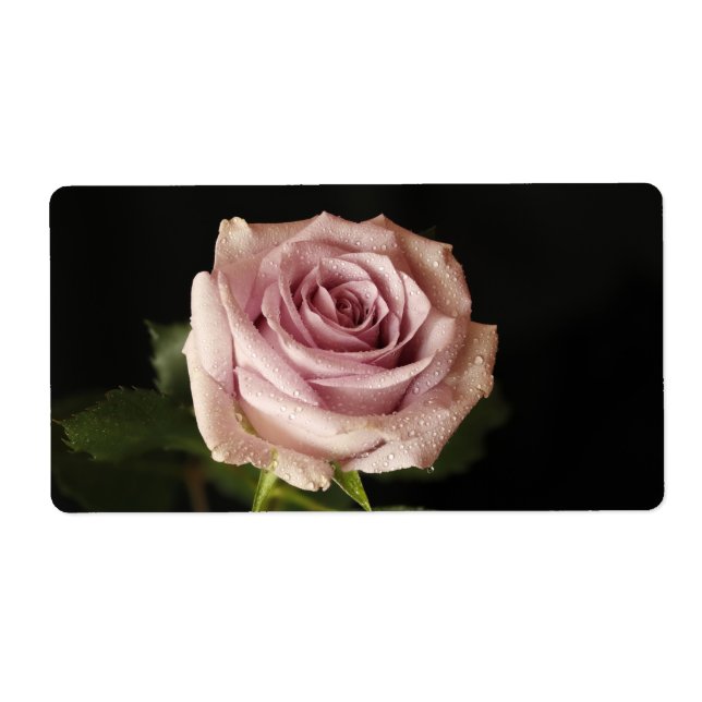 Étiquette belle rose rose (Devant)