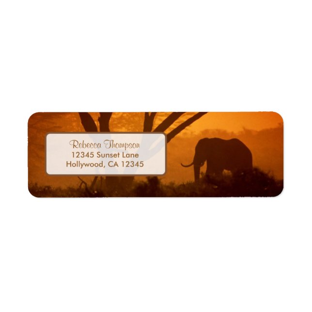Étiquette Belle silhouette d'éléphant au coucher du soleil (Devant)
