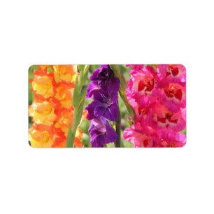 Étiquette Belles fleurs de glaïeul