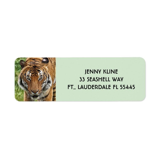 Étiquette BENGAL TIGER Adresse de retour LabelS (Devant)