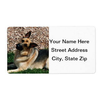 Étiquette Berger allemand quizzical