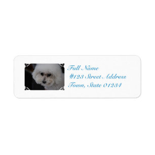 Étiquette Bichon doux Frise