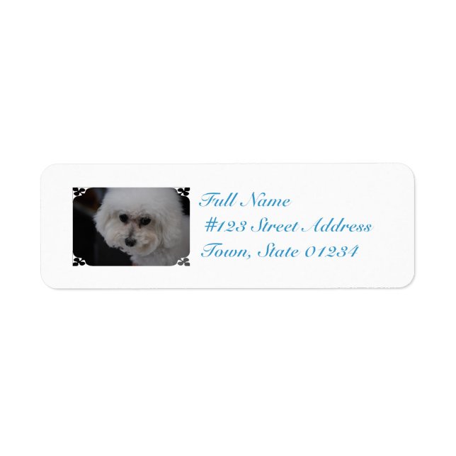 Étiquette Bichon Frise (Devant)