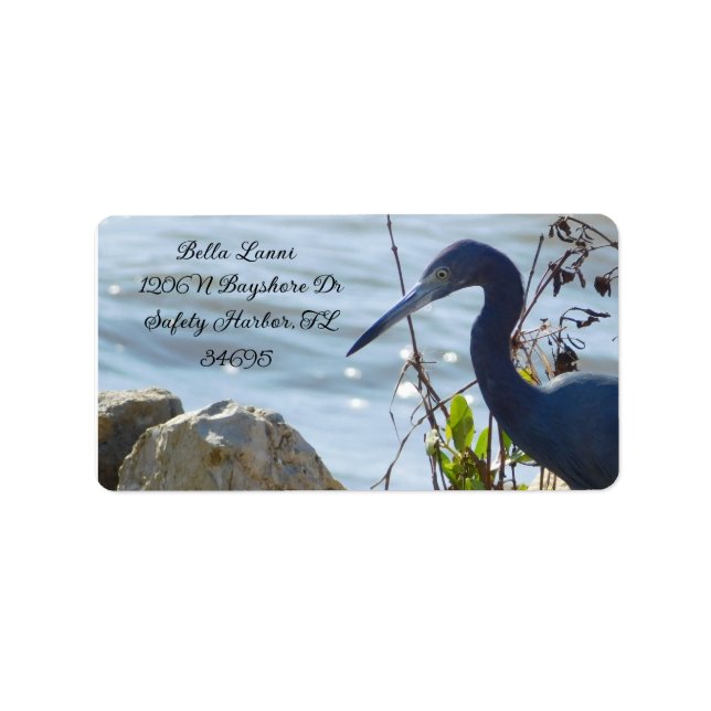 Étiquette Bird By the Bay Little Blue Heron Safety Harbour (Devant)