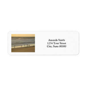 Étiquette Birds Beach Sunrise Personnaliser Adresse de retou