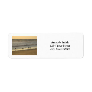 Étiquette Birds Beach Sunrise Personnaliser Adresse de retou