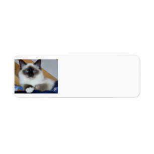 Étiquette birman 2.png