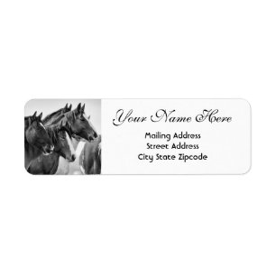 Étiquette Black and White Horses Return Address Label