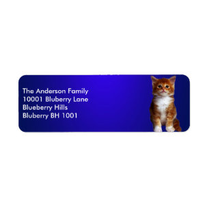 Étiquette bleu Adresse de retour Ginger Cat