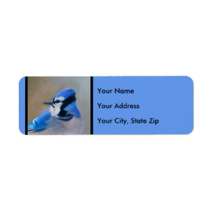 Étiquette Bleu Jay Painting - Art original pour les oiseaux
