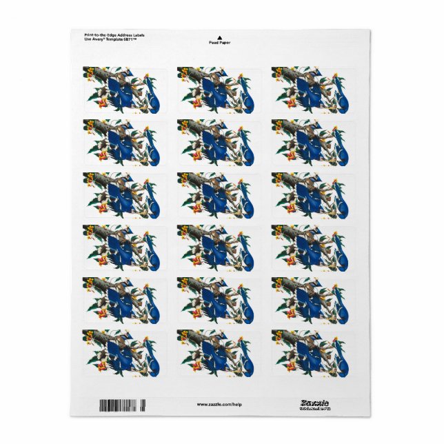 Étiquette Blue Jay par John James Audubon (Feuille entière)