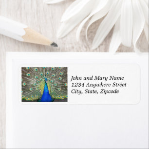 Étiquette Blue Peacock Plumather Adresse de retour