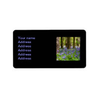Bluebell Woods