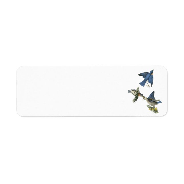 Étiquette Bluebird de l'Est par Audubon (Devant)