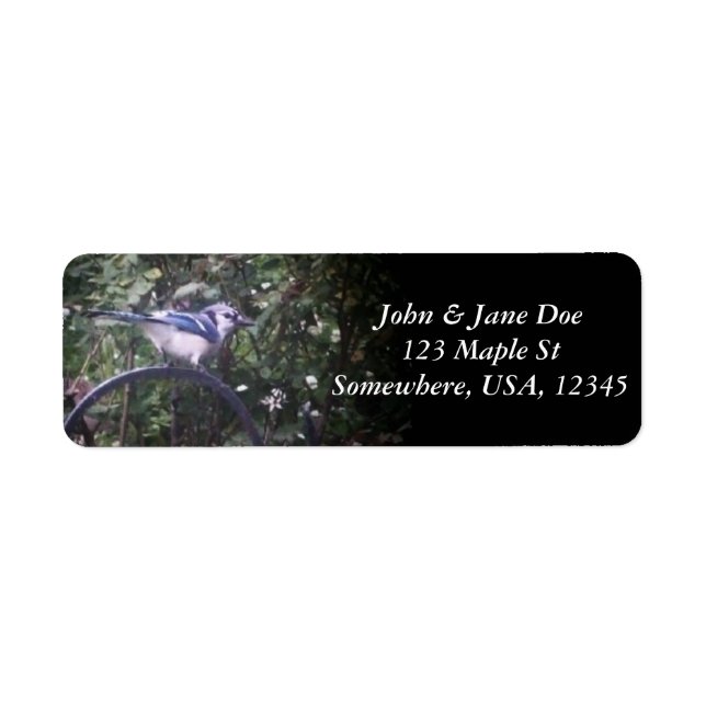 Étiquette BlueJay 2 (Devant)