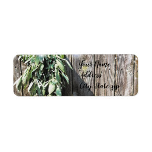 Étiquette Boho botanical herb leaves rustic Barn-wood 