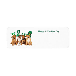 Étiquette Bonne carte postale St. Patrick's Day Dogs