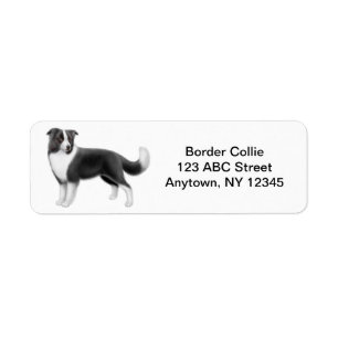 Étiquette Border collie personnalisable