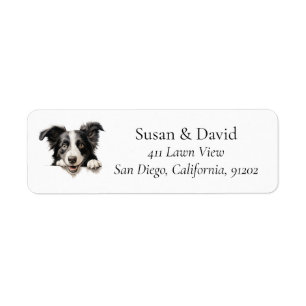 Étiquette Bordure Collie Chien race Animaux de compagnie Ama