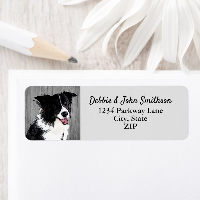 Étiquette Bordure Collie Chien Retour Adresse Animal Cute La (En situation)