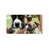 Boxer - Helicopter Mom