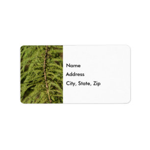 Étiquette Branche Cypress Bald