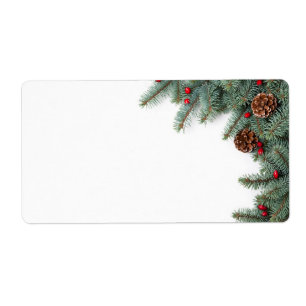 Étiquette Branches du sapin argenté avec des cônes et le