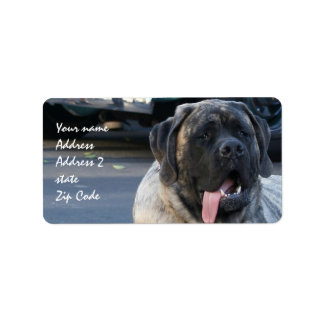 Étiquette Brindle Mastiff Chien