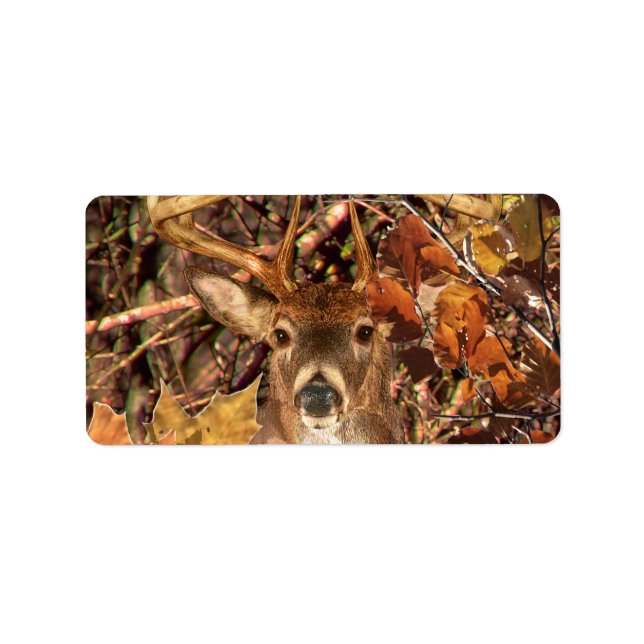 Étiquette Buck in Camouflage White Tail Deer (Devant)