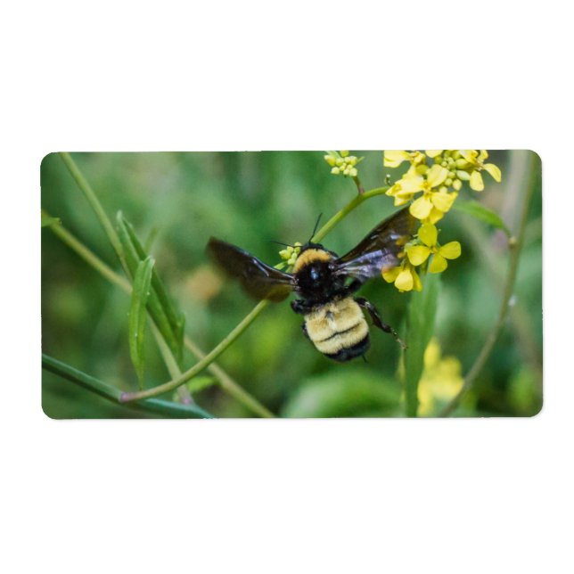 Étiquette Bumble Bee en vol (Devant)