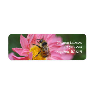 Étiquette Bumble Bee On Pink Daisy Flower Nature Adresse