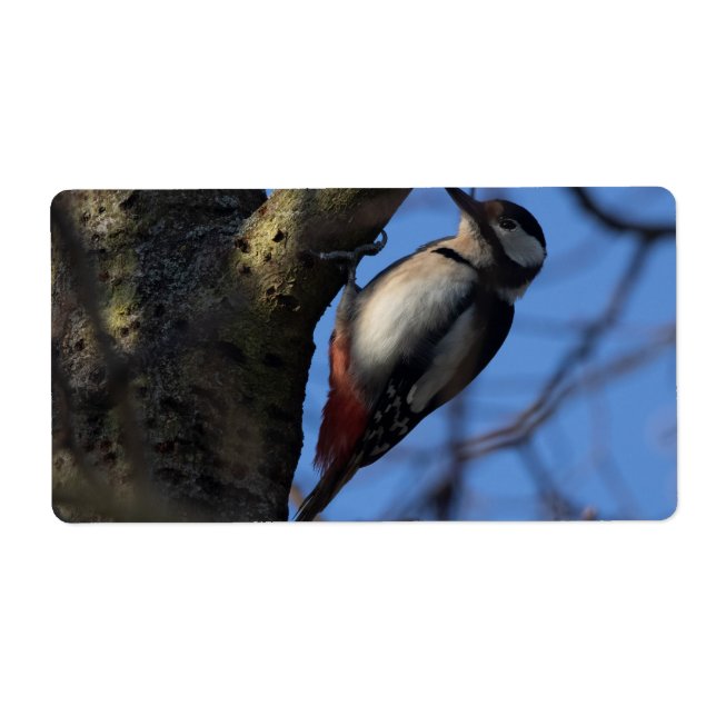 Étiquette Buntspecht (Devant)