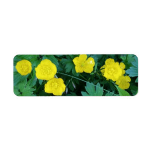 Étiquette Buttercup Themed Labels
