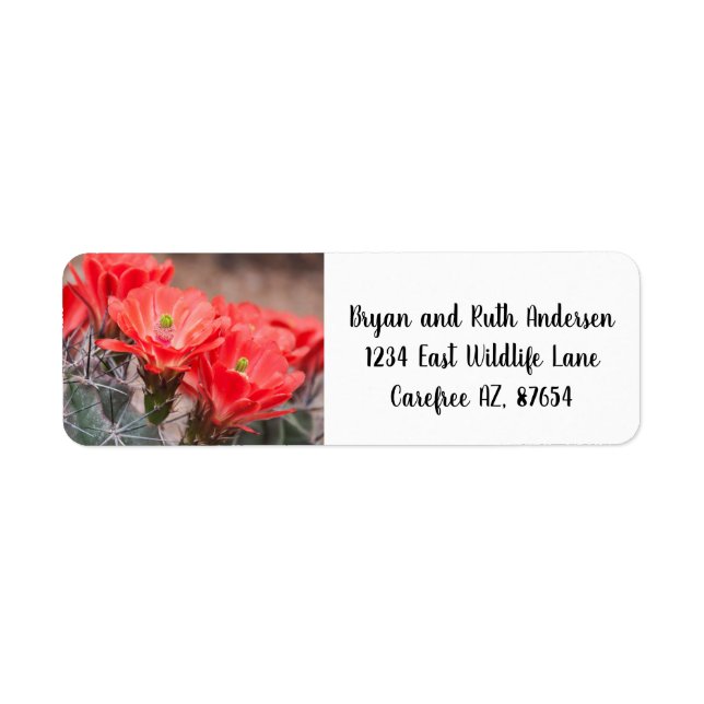 Étiquette Cactus de hérisson en fleurs (Devant)