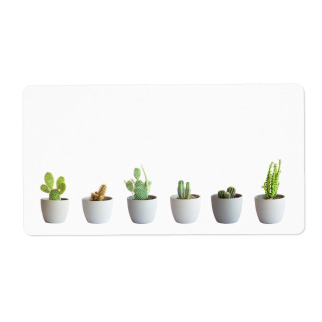 Étiquette Cactus in pots (Devant)