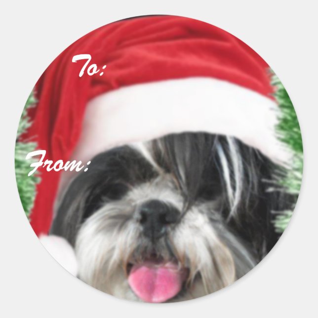 Étiquette cadeau Christmas Shih Tzu (Devant)