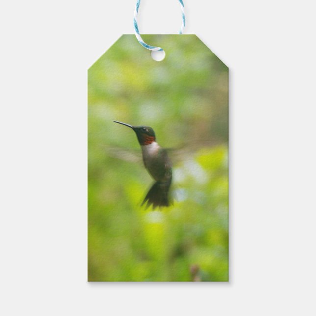 Étiquette cadeau de colibri (Devant)