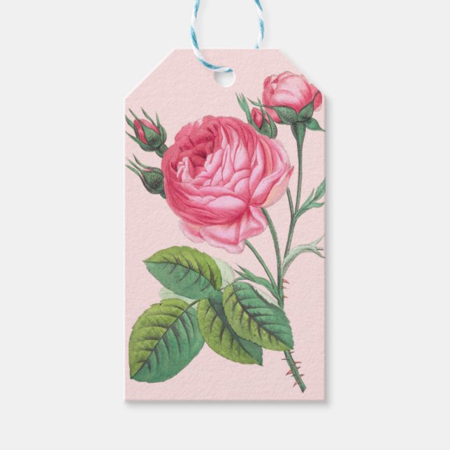 Étiquette cadeau fleur de rose rose (Devant)