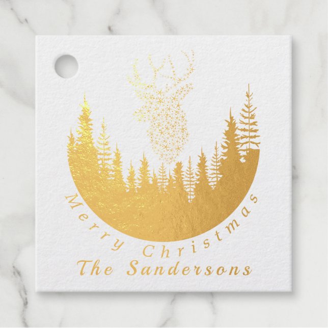 Étiquette-cadeau Reindees Forêt de Noël I Monogramme (Devant)
