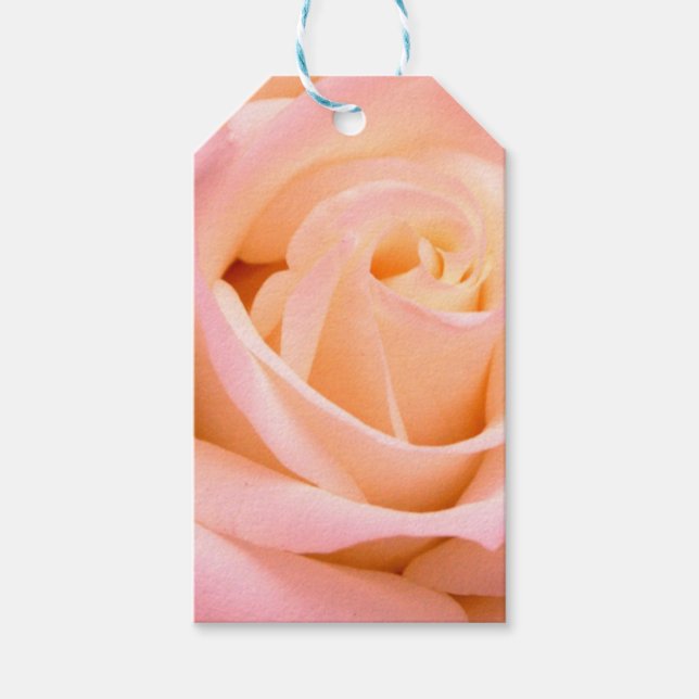 Étiquette cadeau rose  (Devant)