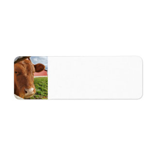Étiquette Calf