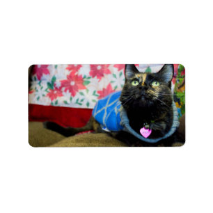 Étiquette Calico II