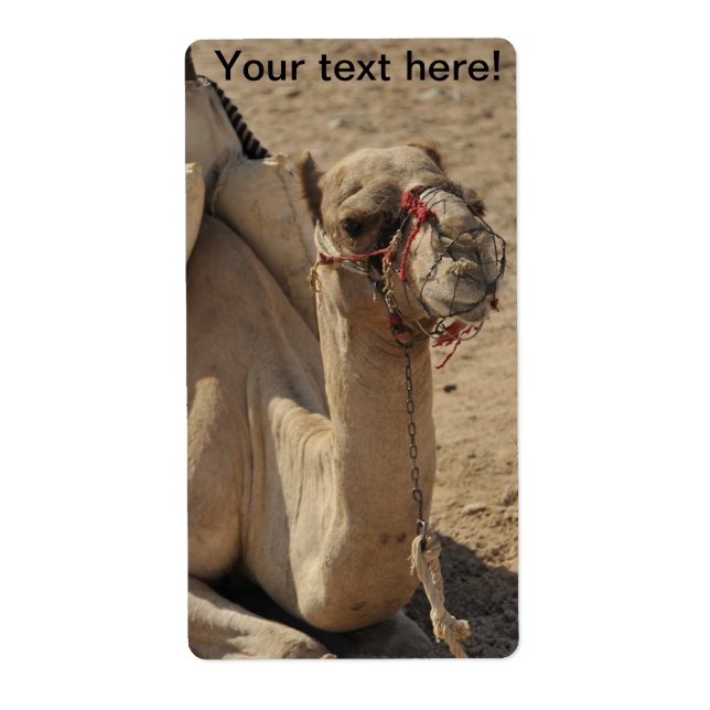 Étiquette Camel (Devant)