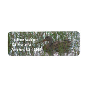 Étiquette Canard Brown Sauvage Dans Pond Nature Adresse