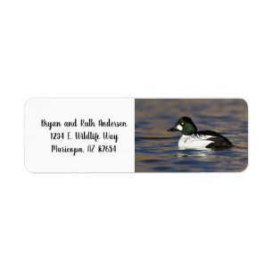 Étiquette Canard de l'oeil d'or mâle