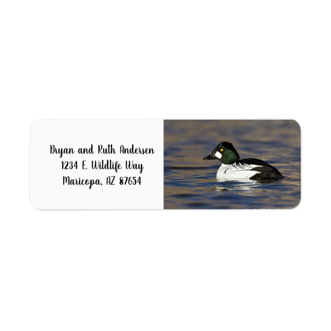Étiquette Canard de l'oeil d'or mâle (Devant)