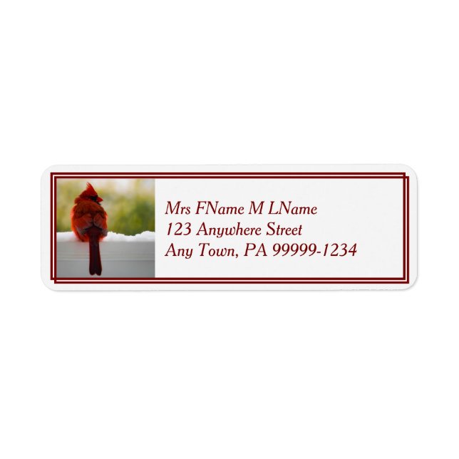 Étiquette Cardinal En Neige (Devant)