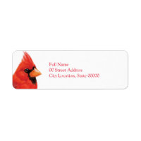 Cardinal homme fier