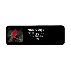 Étiquette Cardinal rouge perché sur une branche d'arbre